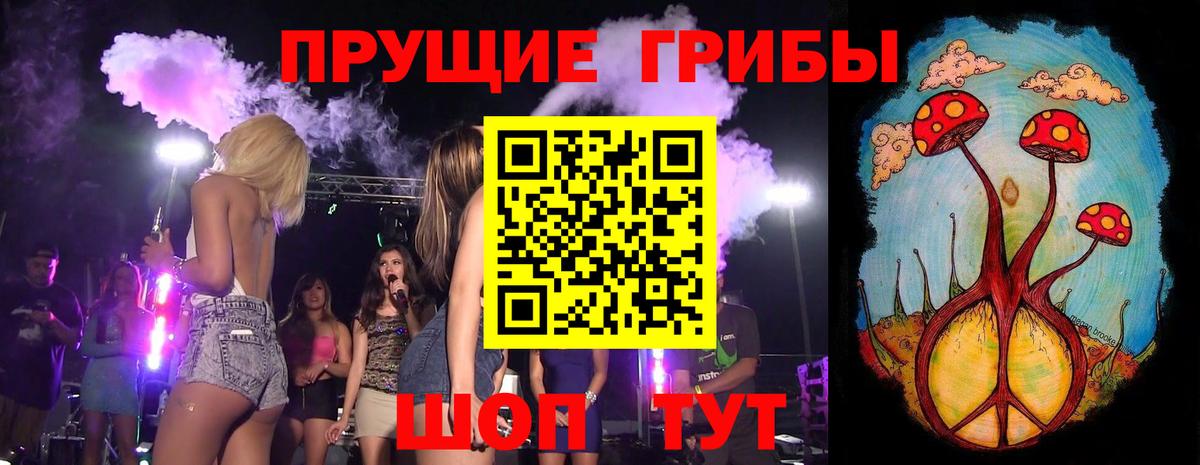 Златоуст  Галлюциногенные грибы Magic Shrooms  где найти наркотики  Вход с VPN 